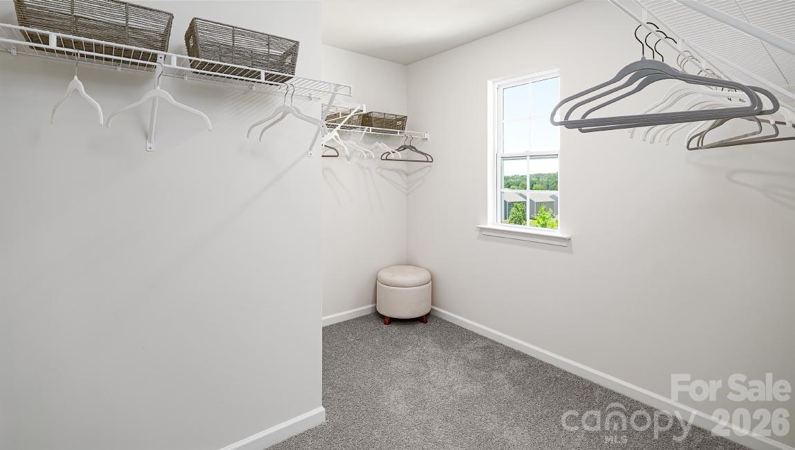 313 Audrey Loop Road Property Photo 17