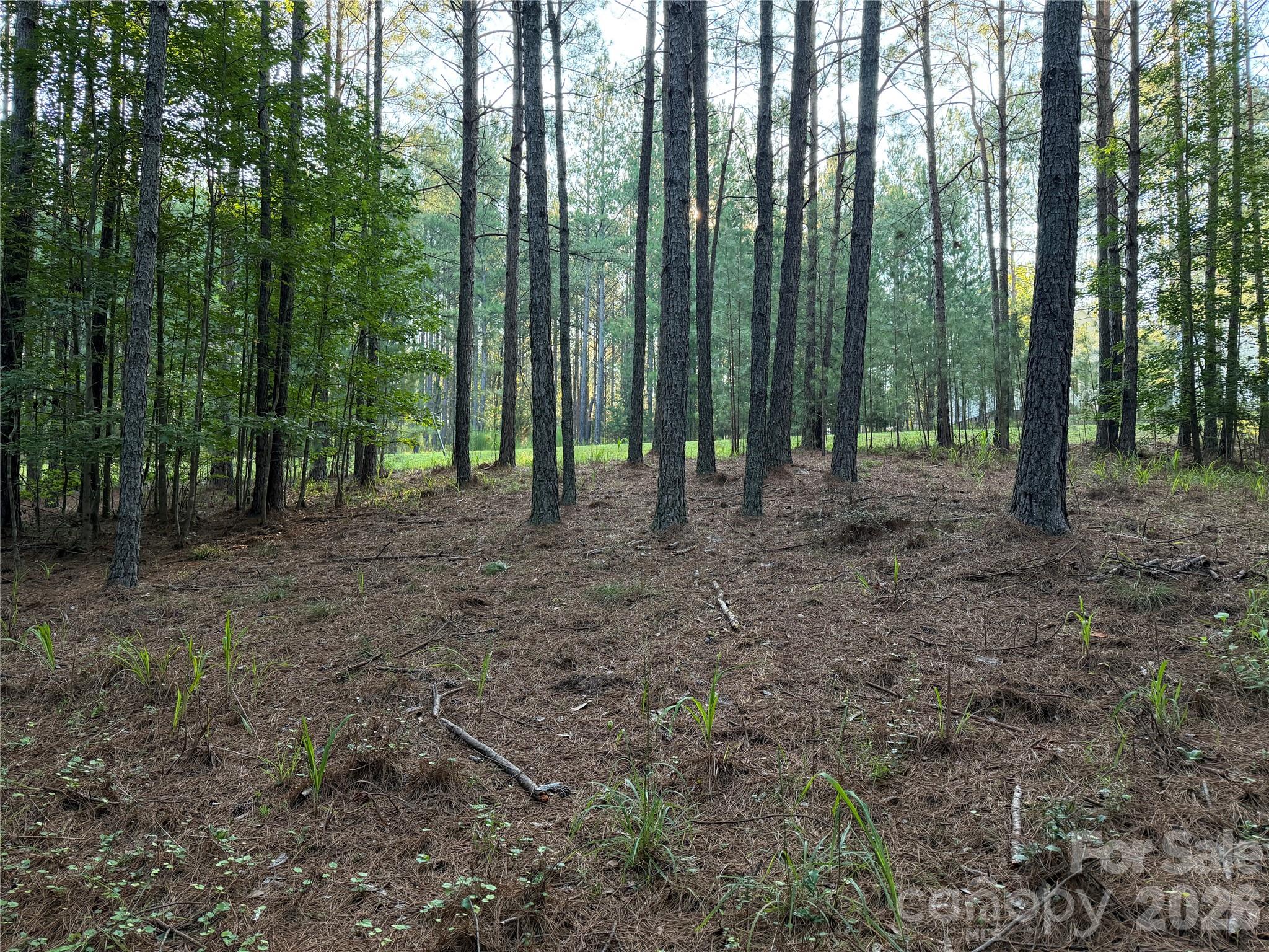 108 Whispering Pines Lane Property Photo 1