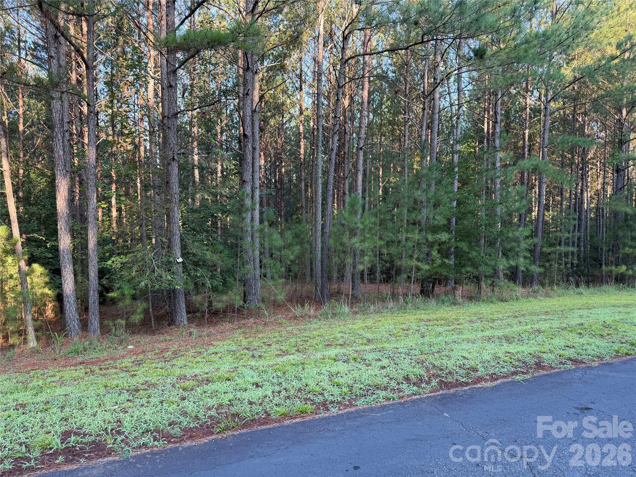 108 Whispering Pines Lane Property Photo 5