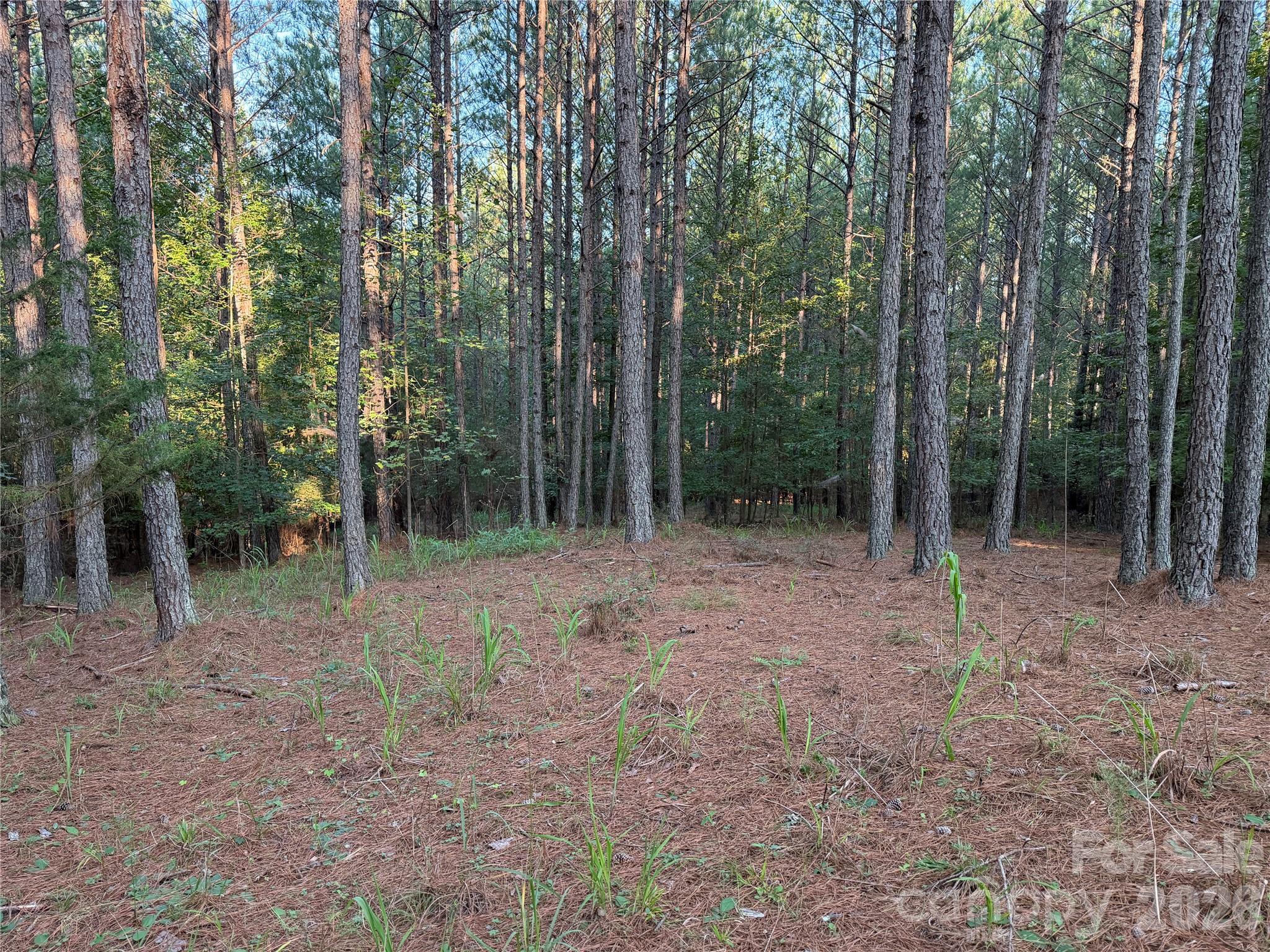 108 Whispering Pines Lane Property Photo 6