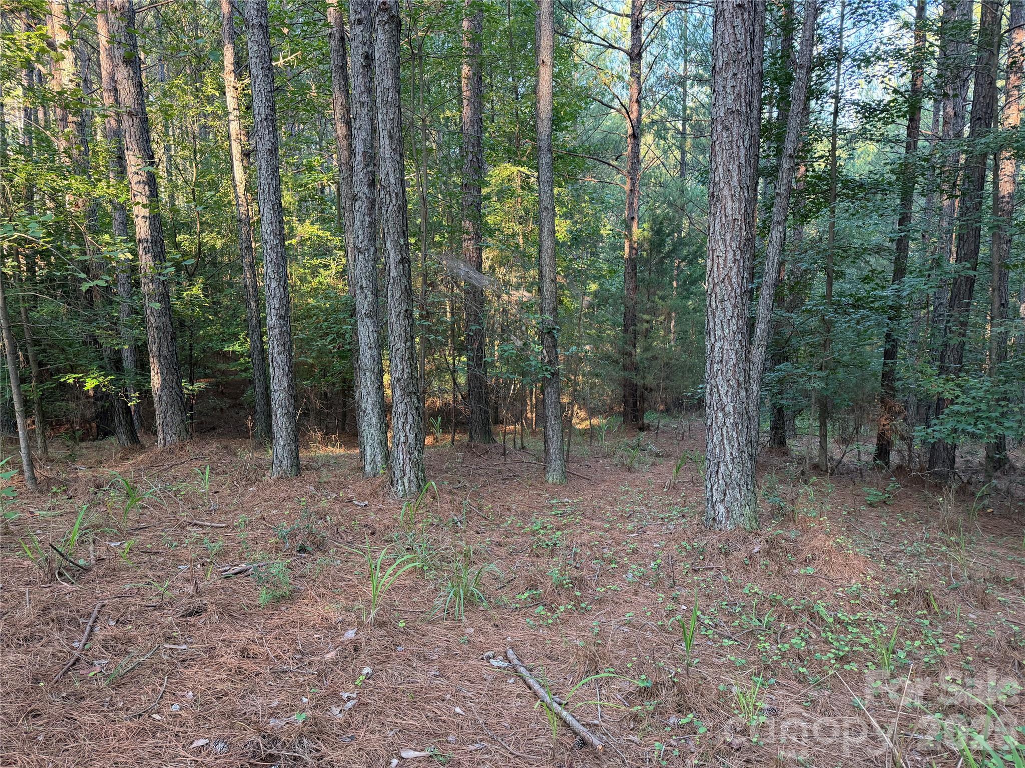108 Whispering Pines Lane Property Photo 7