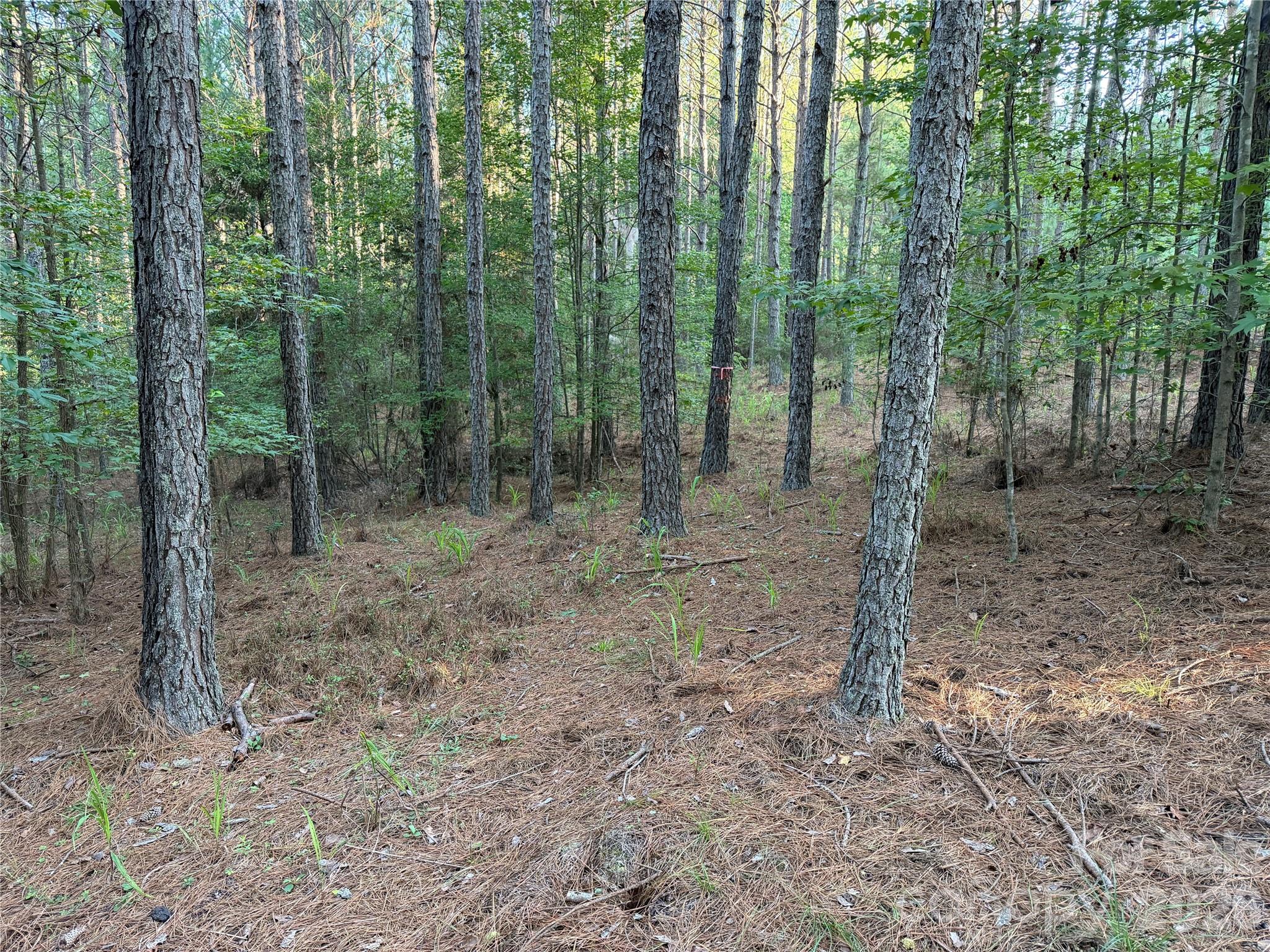 108 Whispering Pines Lane Property Photo 8