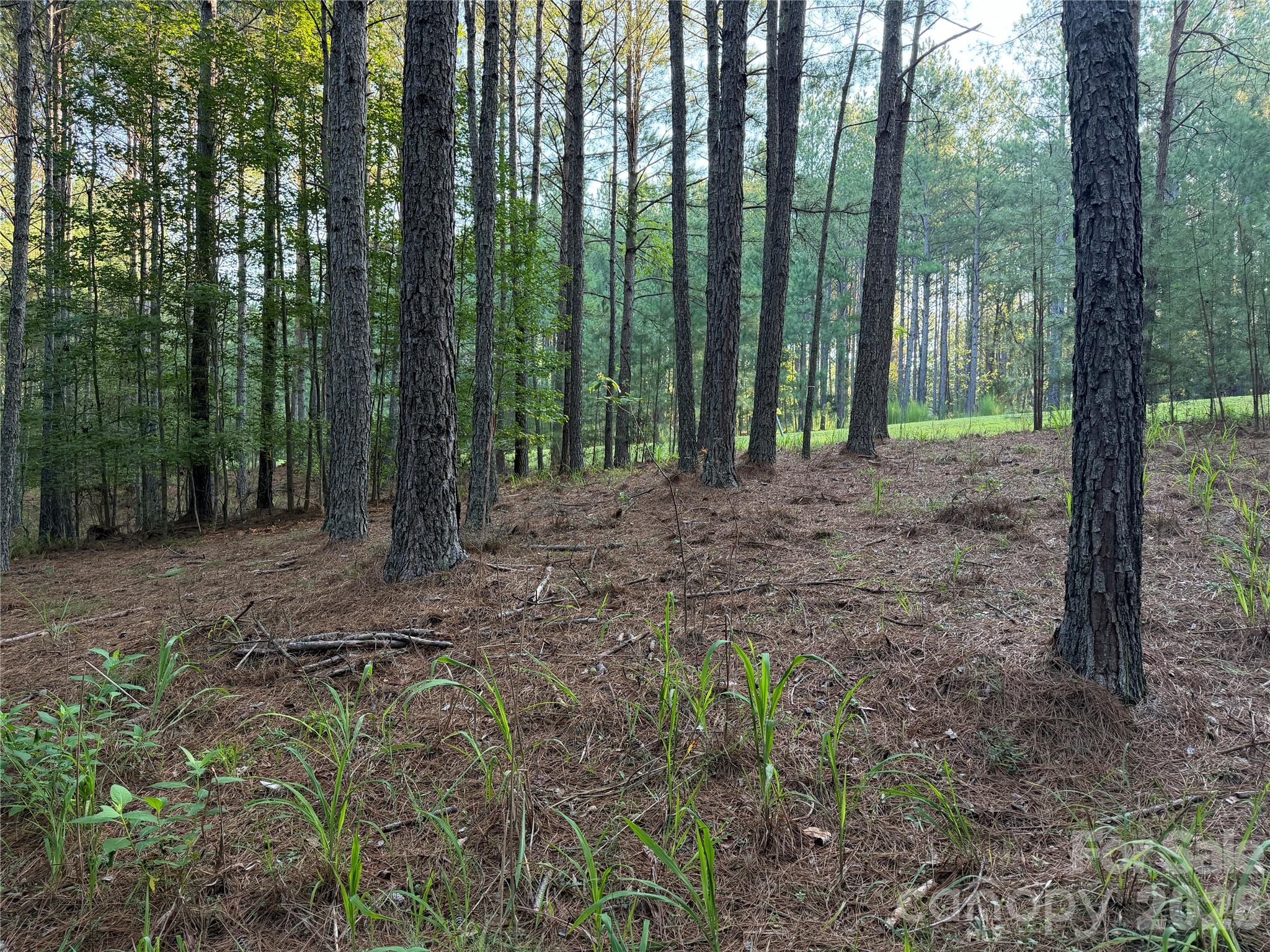 108 Whispering Pines Lane Property Photo 9