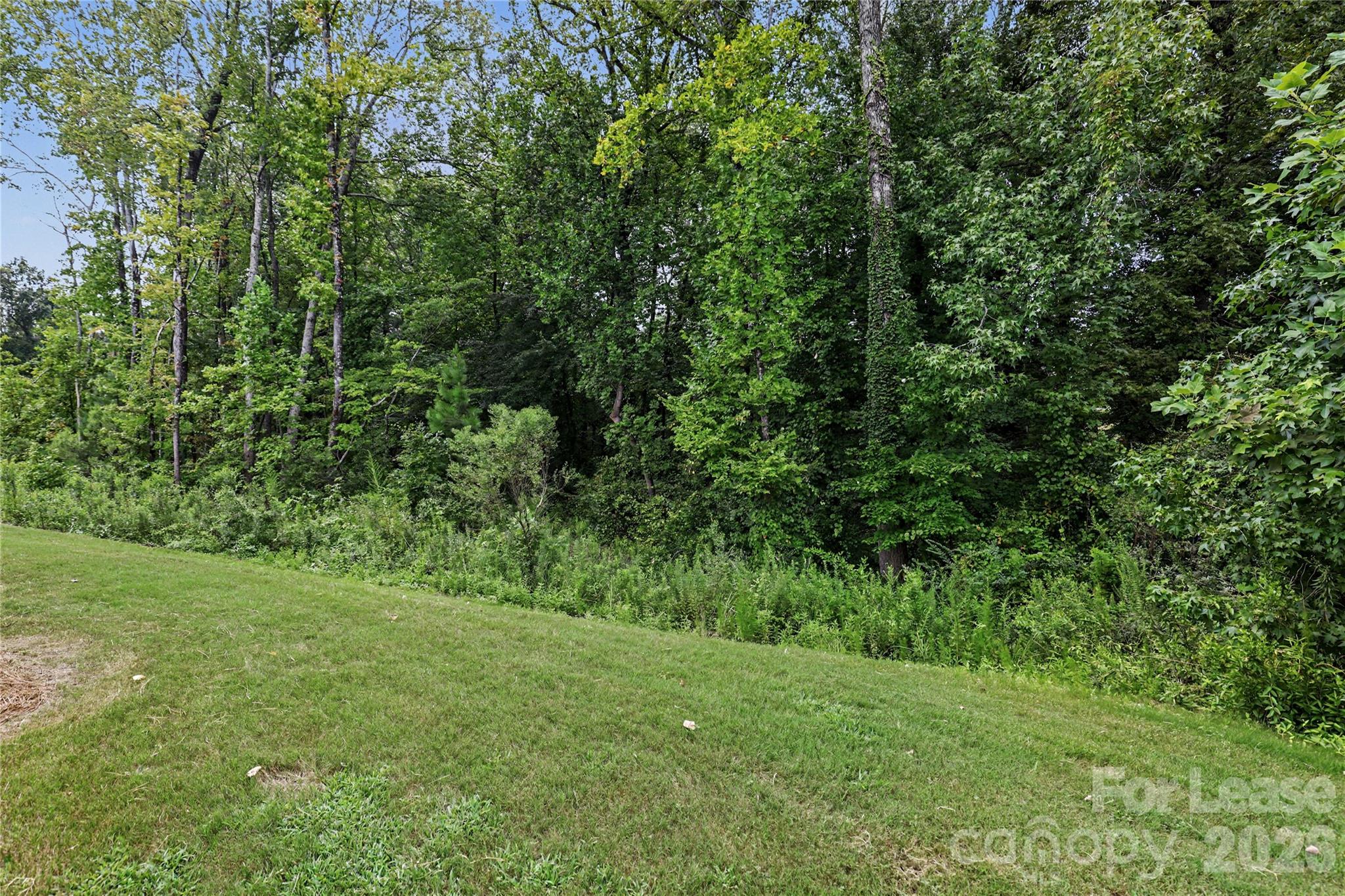 4417087 Property Photo 35