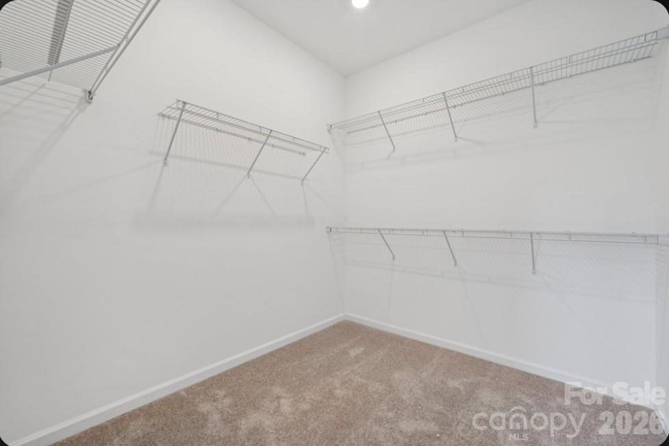 3244 Tramore Drive Property Photo 19