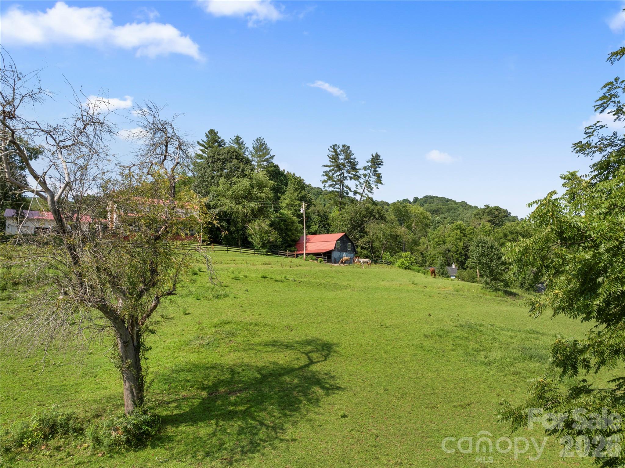 48 Silent Forest Drive Property Photo 16