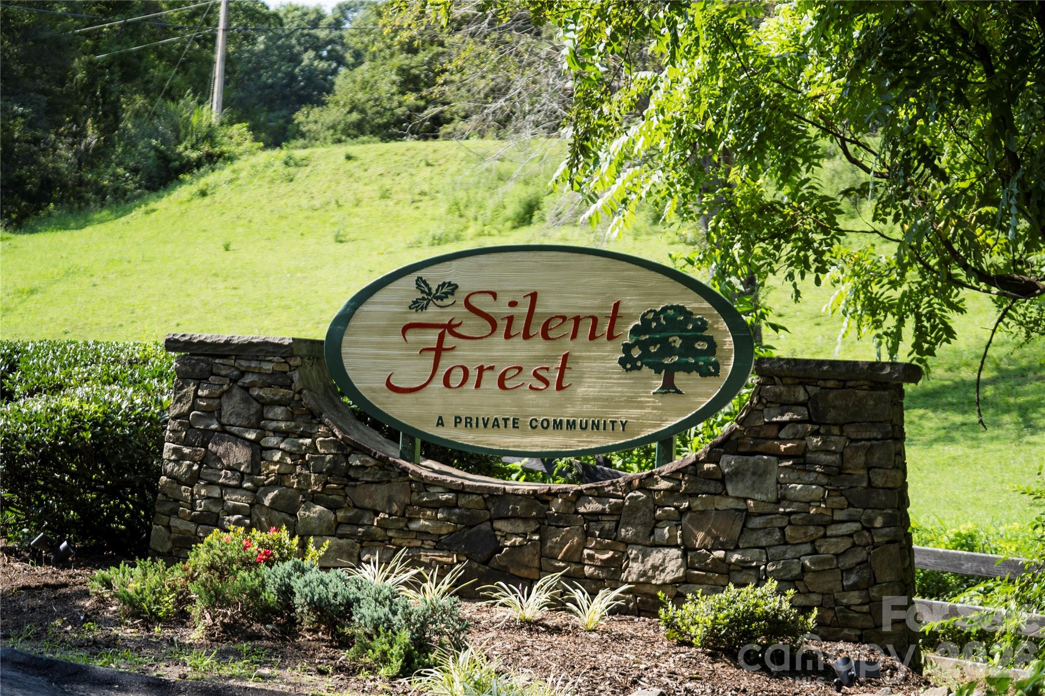 48 Silent Forest Drive Property Photo 19