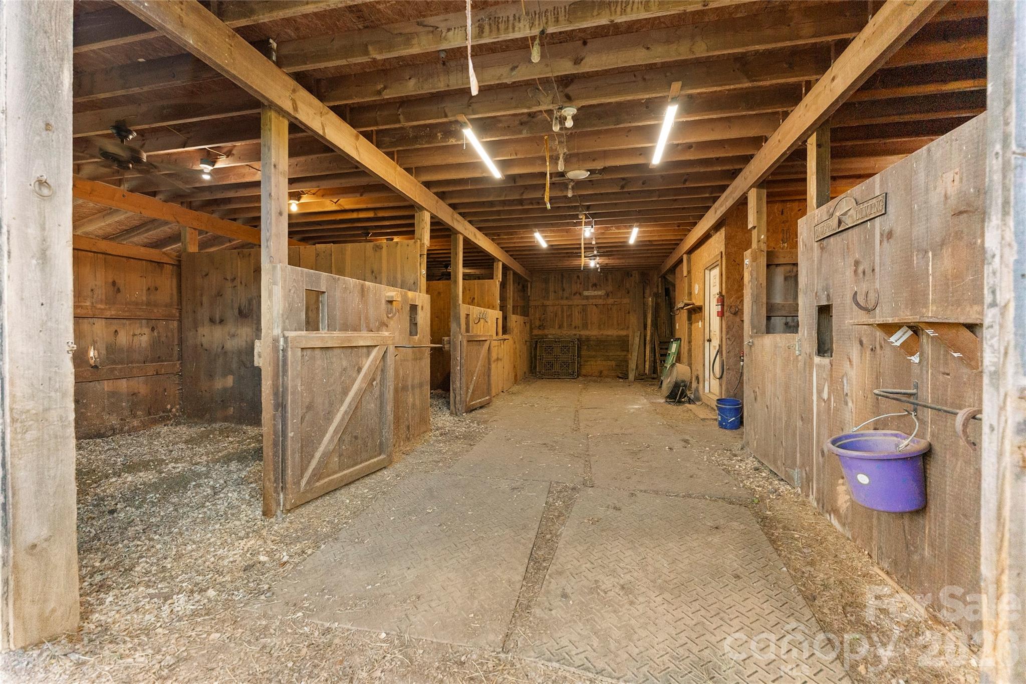 48 Silent Forest Drive Property Photo 32
