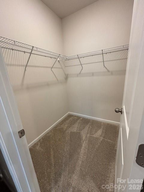 306 Sagecroft Lane Property Photo 13