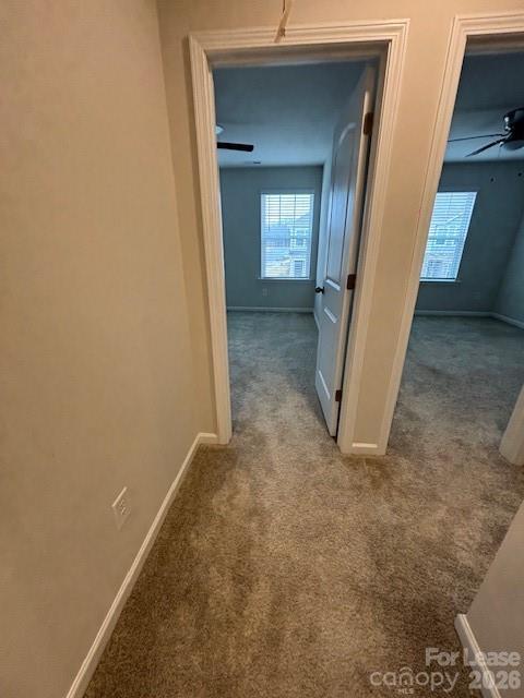 306 Sagecroft Lane Property Photo 24