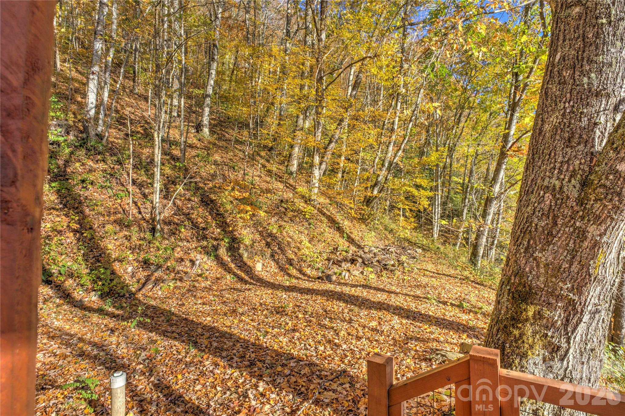 430 Long Branch Road Property Photo 24