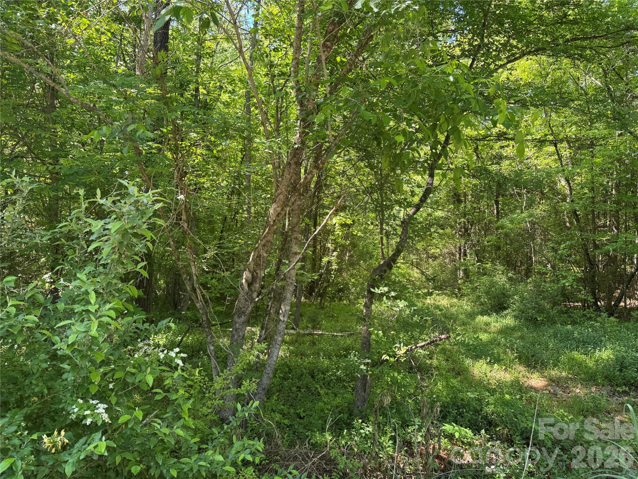 509 Castlewood Circle Property Photo 3