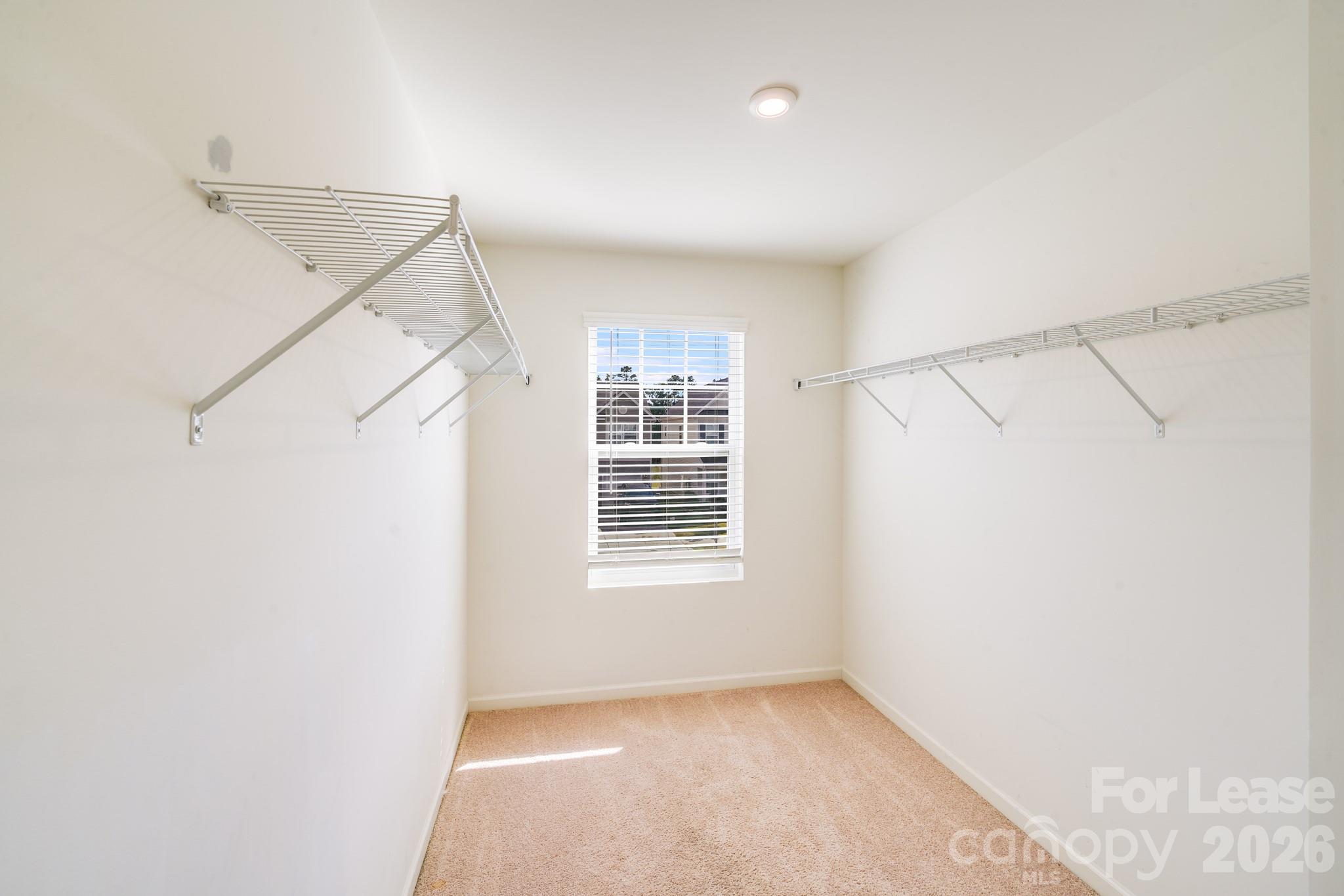12915 Hill Pine Road Property Photo 22