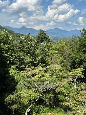 70 Calhoun Ridge Road Property Photo 24
