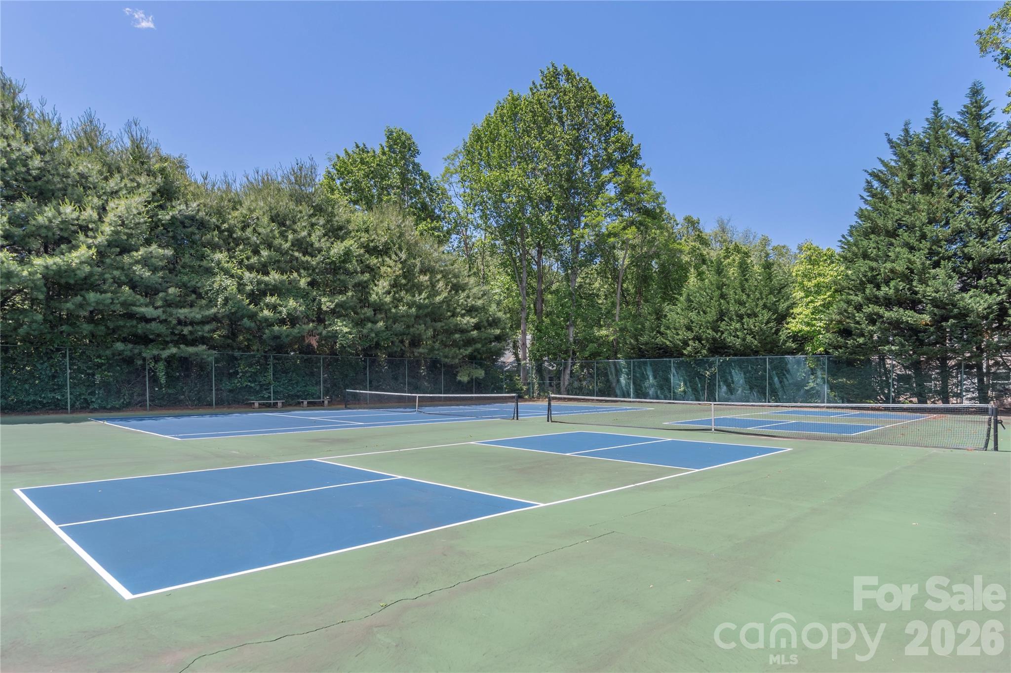 121 Deerlake Drive Property Photo 24