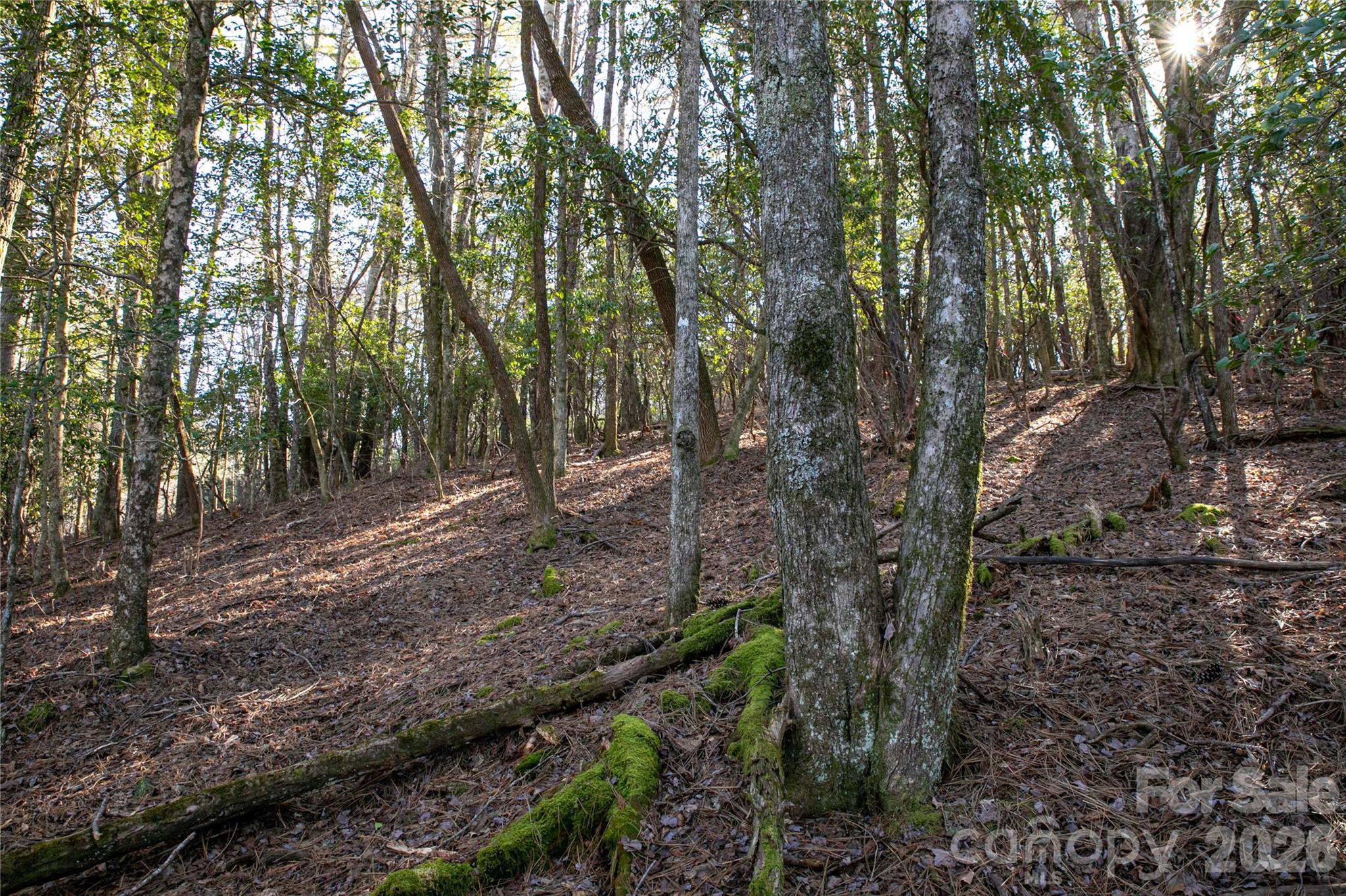 4583 Connestee Trail Property Photo 41