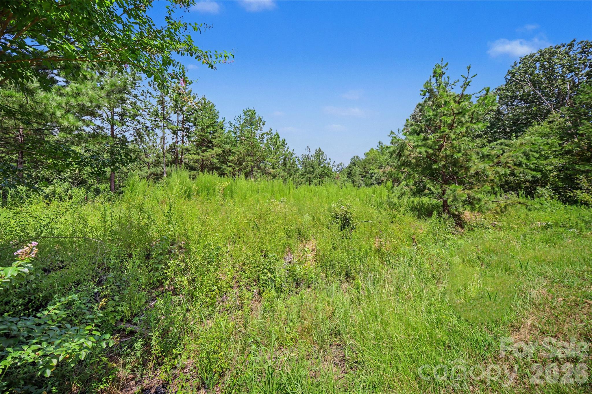 2410 Simfield Church Road Property Photo 3