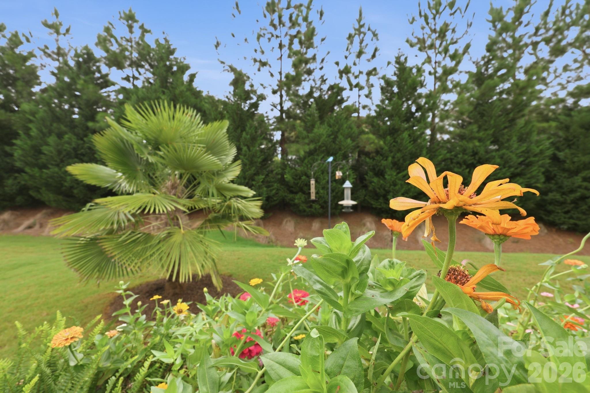 7106 Overjoyed Crossing Property Photo 34