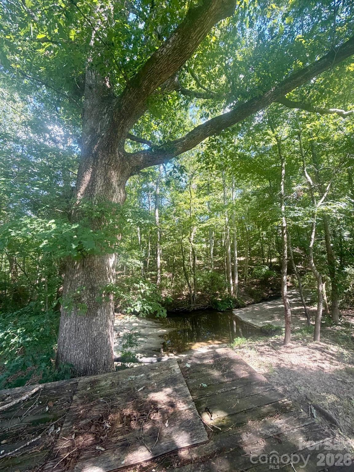 111 Cloverleaf Drive Property Photo 15