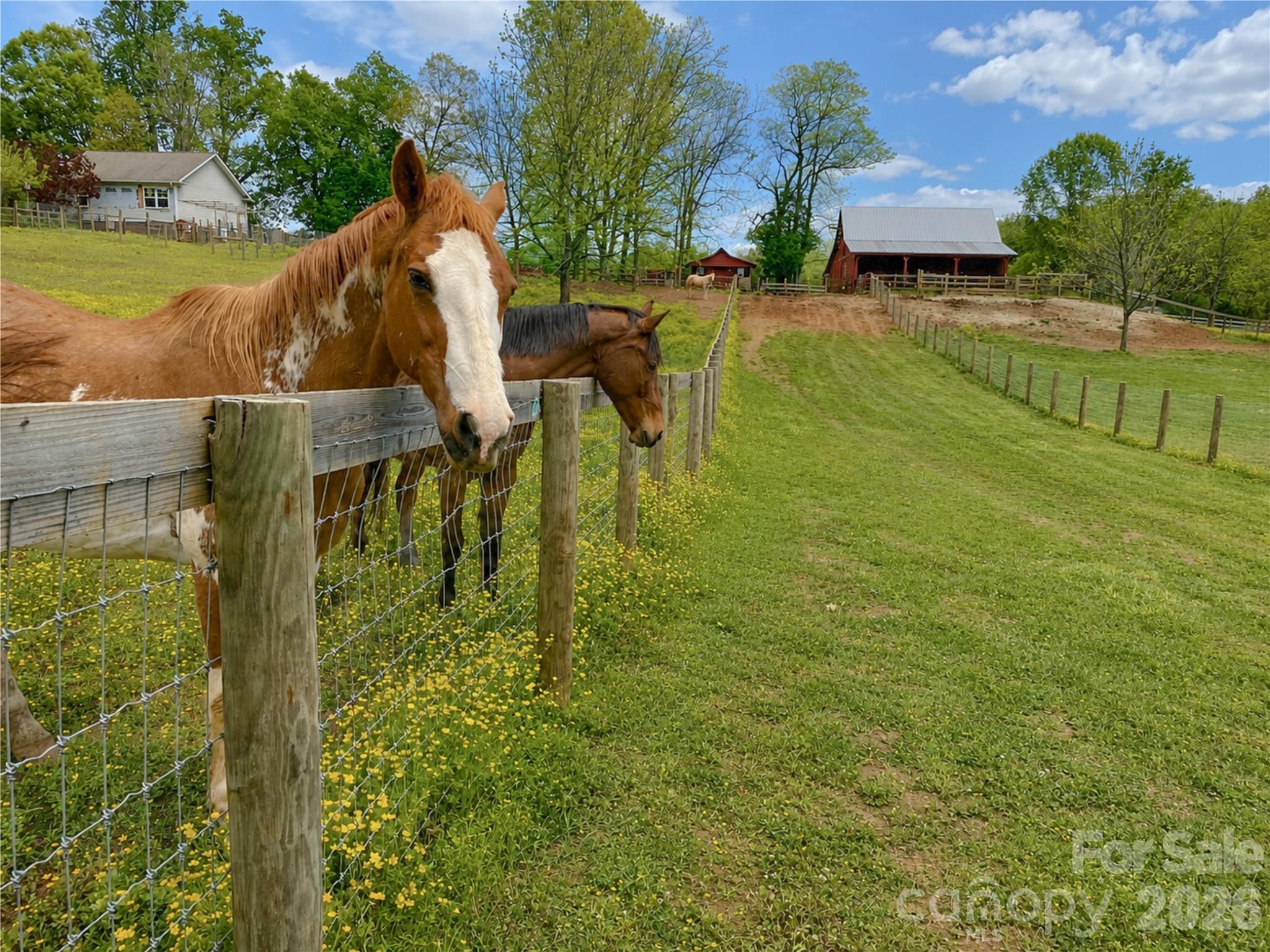 2985 Bradshaw Road Property Photo 6