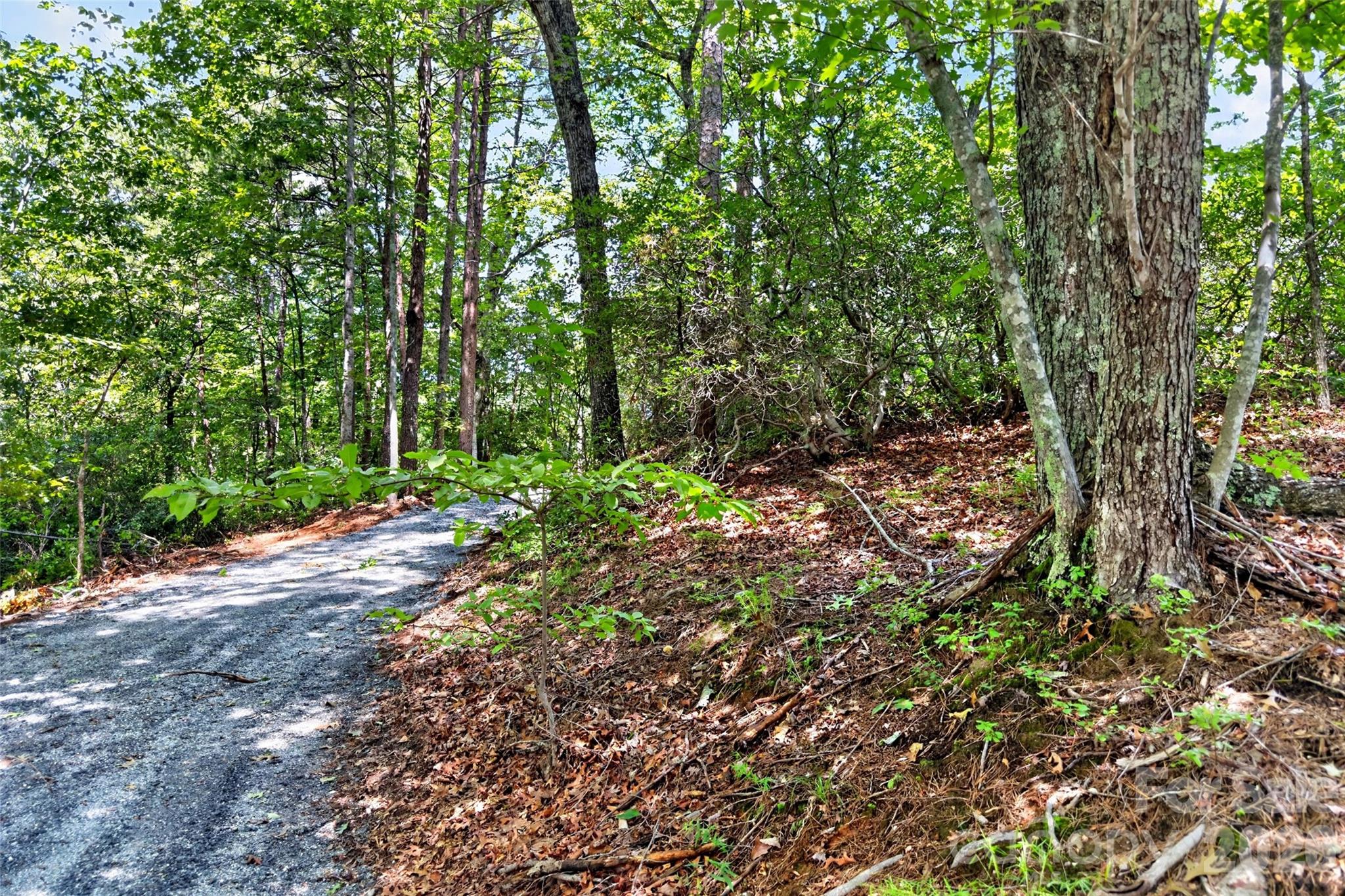 000 Buffalo Shoals Road Property Photo 4