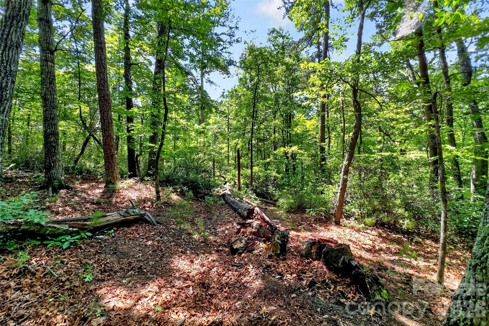 000 Buffalo Shoals Road Property Photo 6