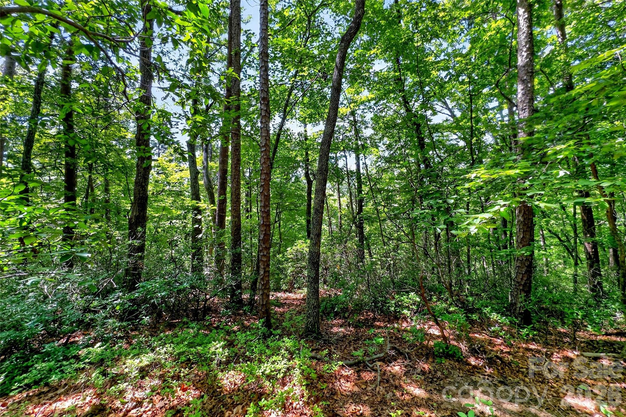 000 Buffalo Shoals Road Property Photo 8