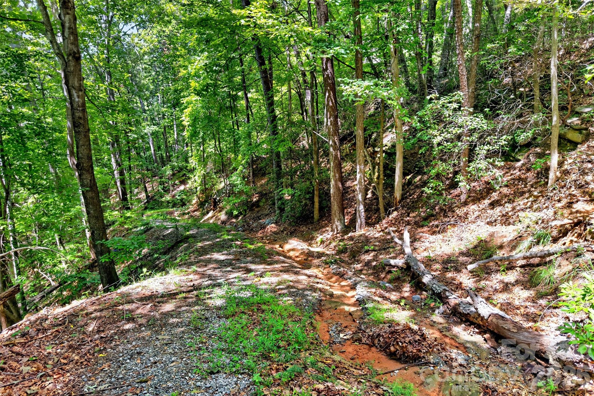 000 Buffalo Shoals Road Property Photo 9