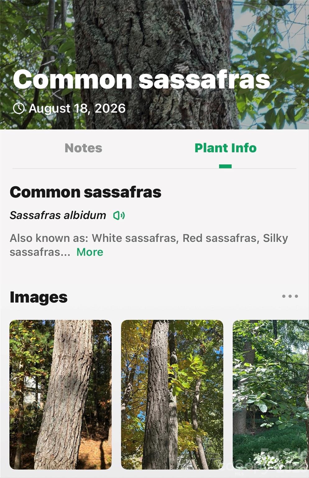 000 Buffalo Shoals Road Property Photo 27