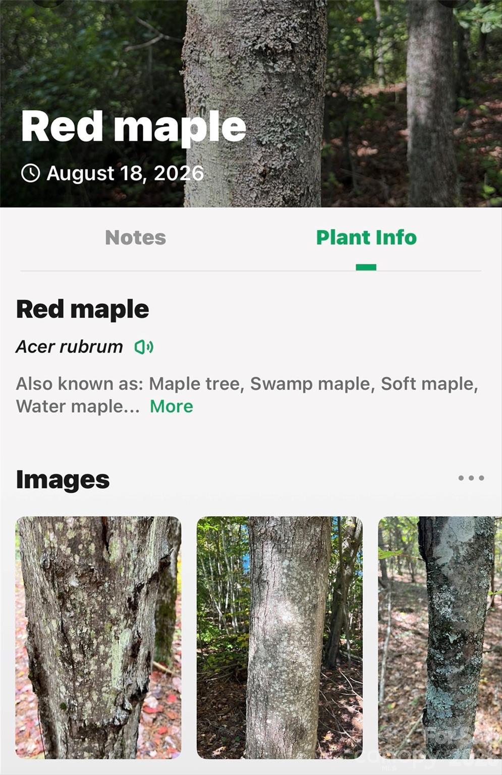000 Buffalo Shoals Road Property Photo 33
