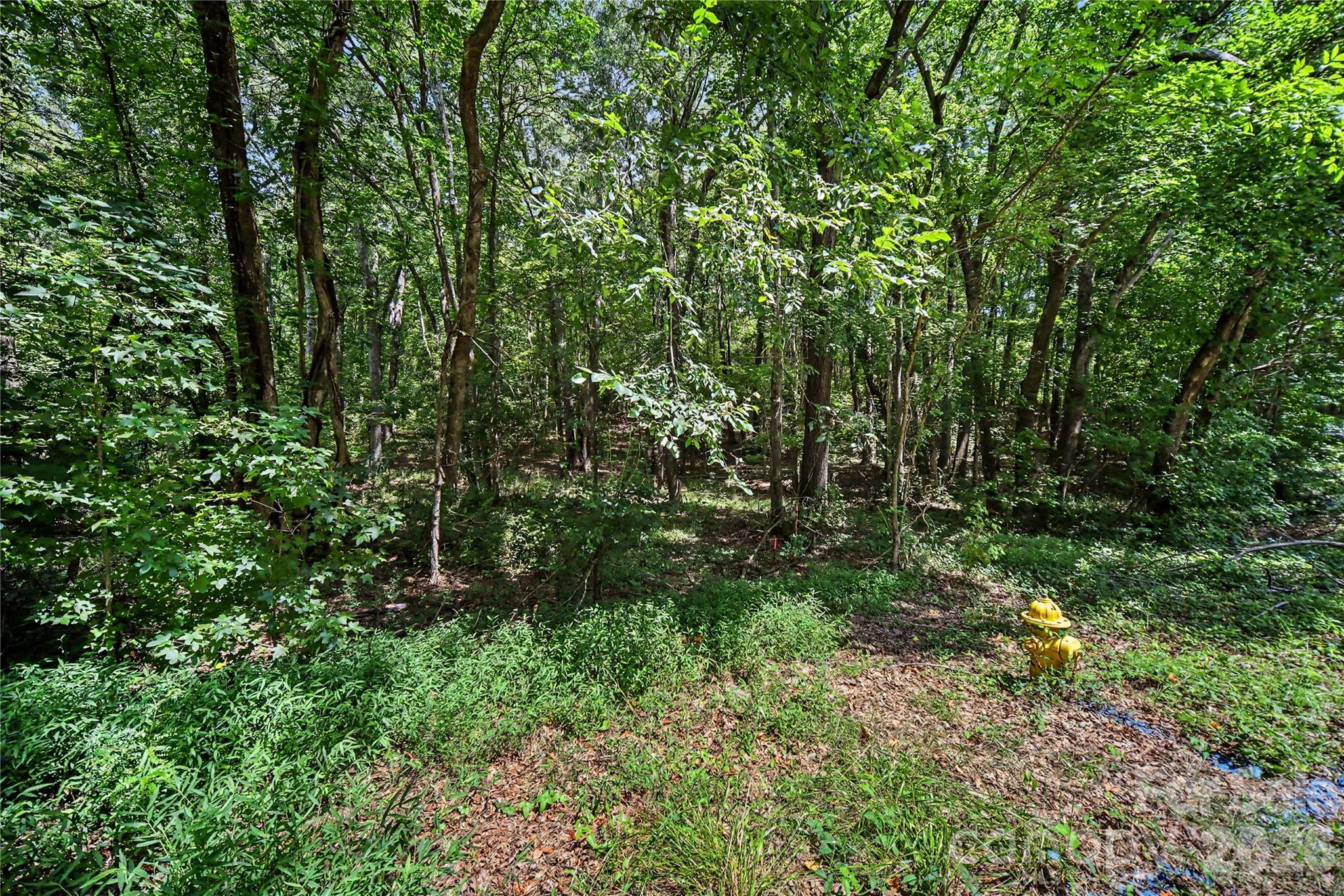 2402 Simfield Church Road Property Photo 16