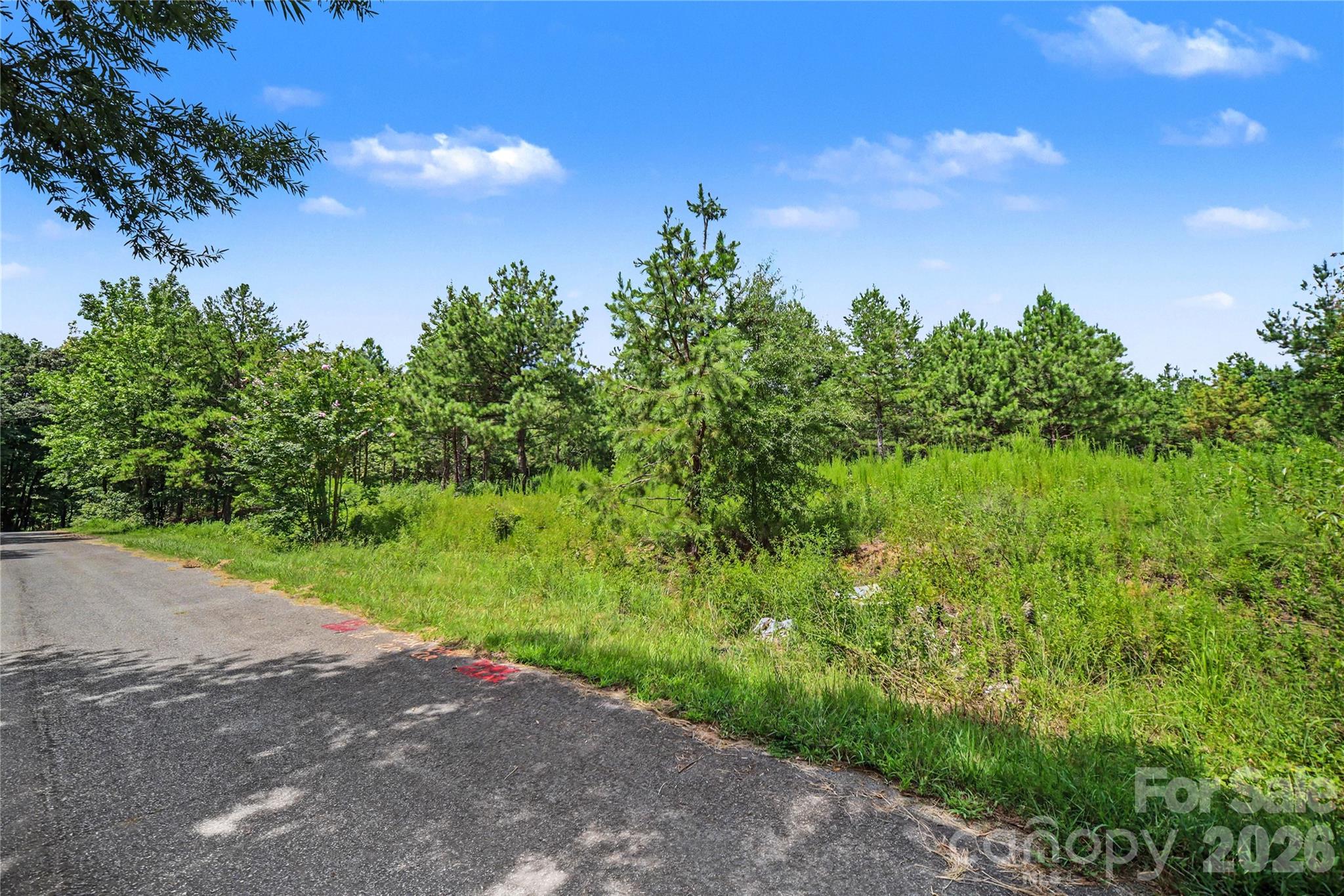2402 Simfield Church Road Property Photo 19
