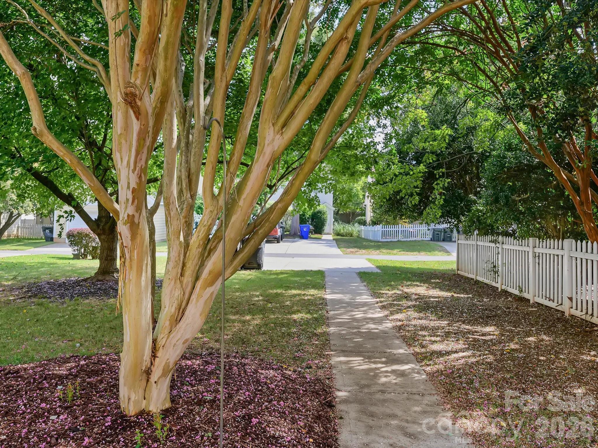 8515 Lindholm Drive Property Photo 29
