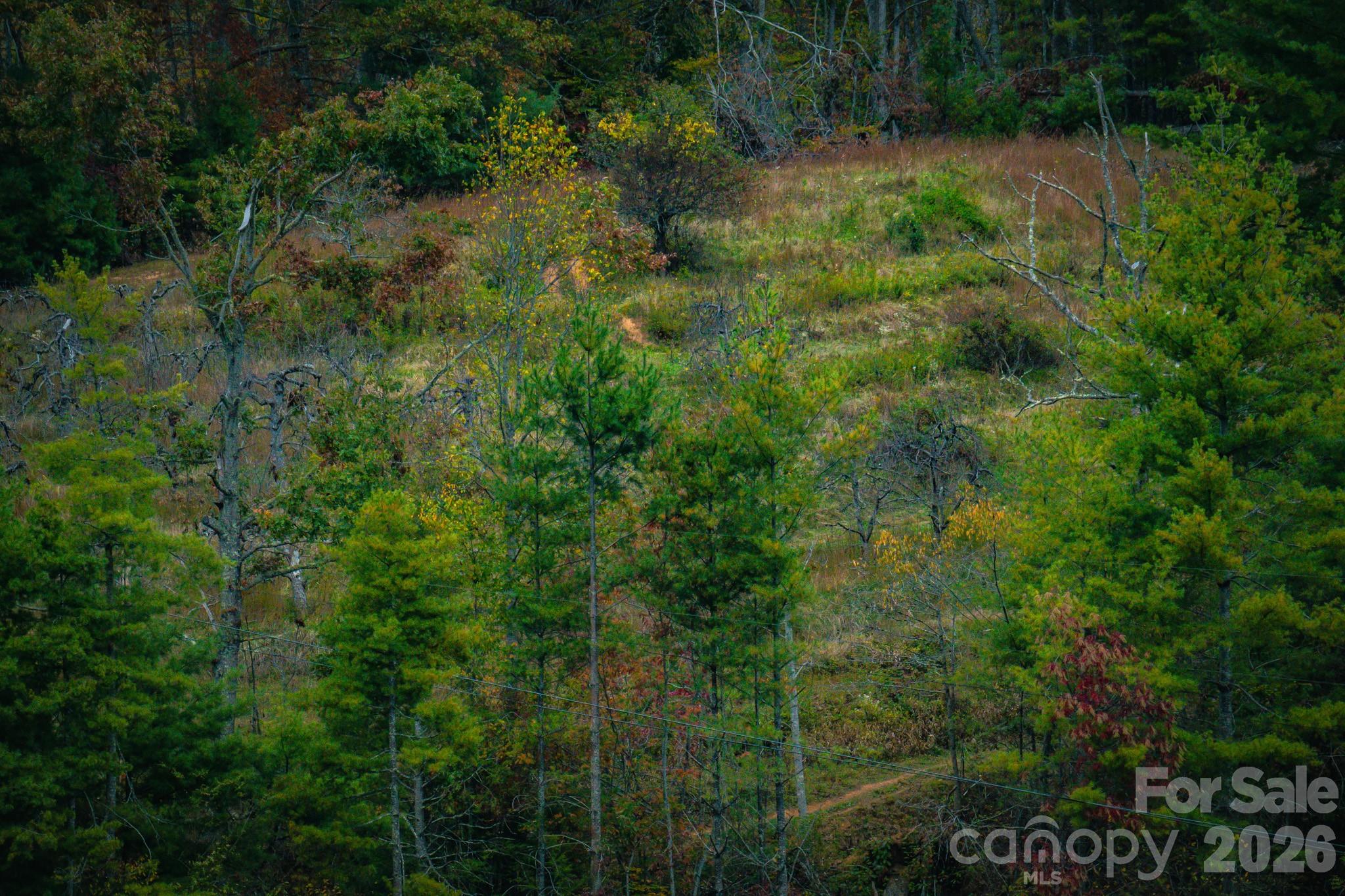 876 Saylor Lake Road Property Photo 2
