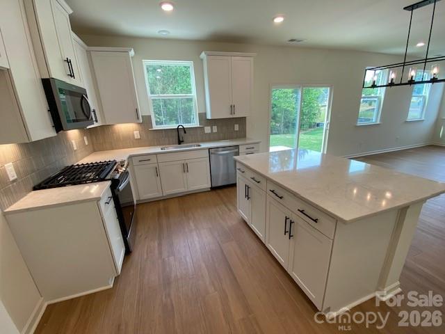 12559 Forager Place Property Photo 4