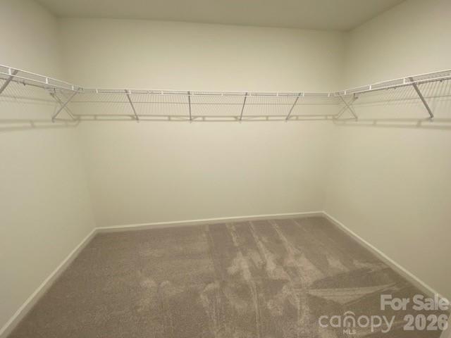 12559 Forager Place Property Photo 13