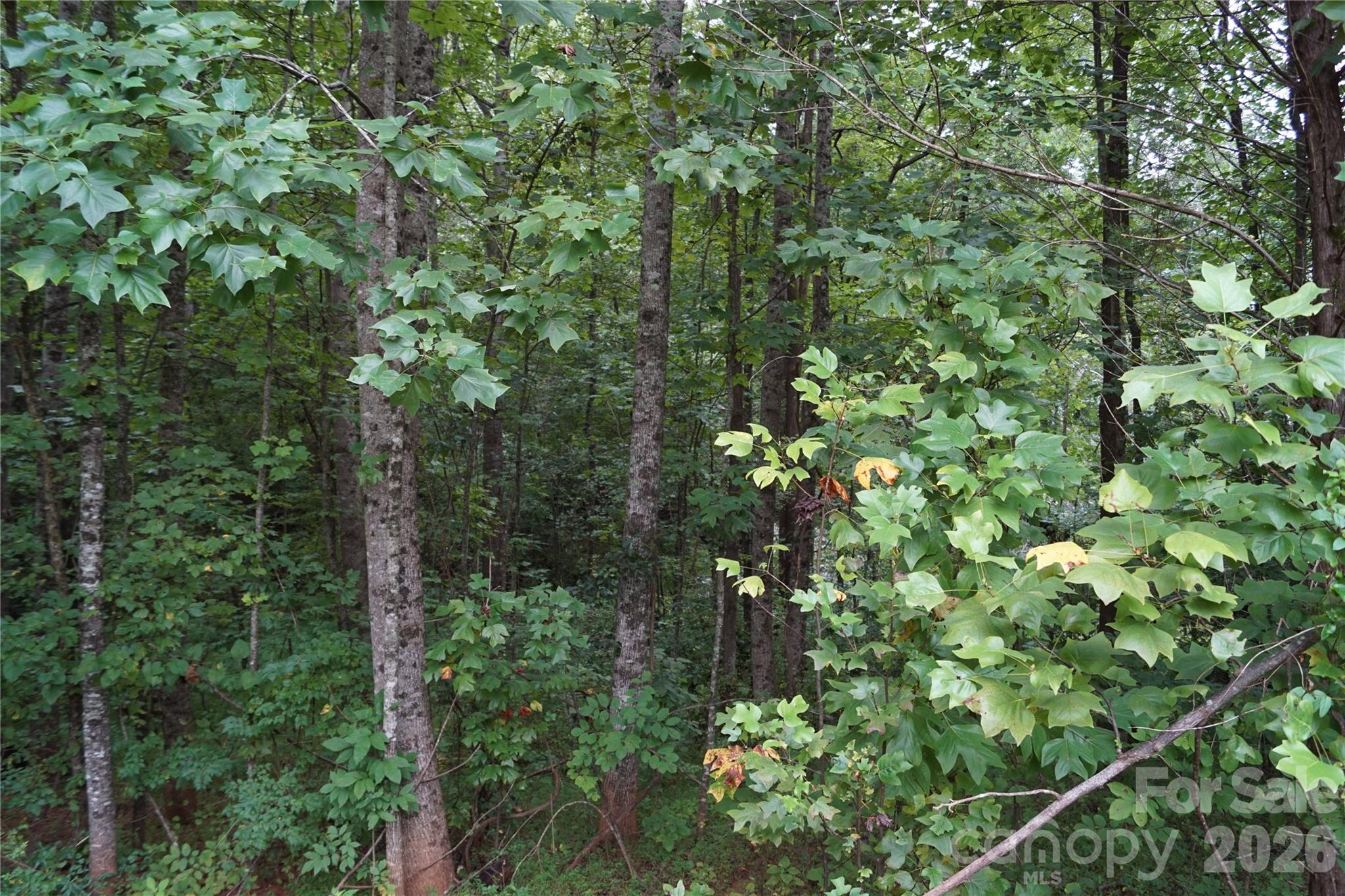 1139 Mckay Road Property Photo 3