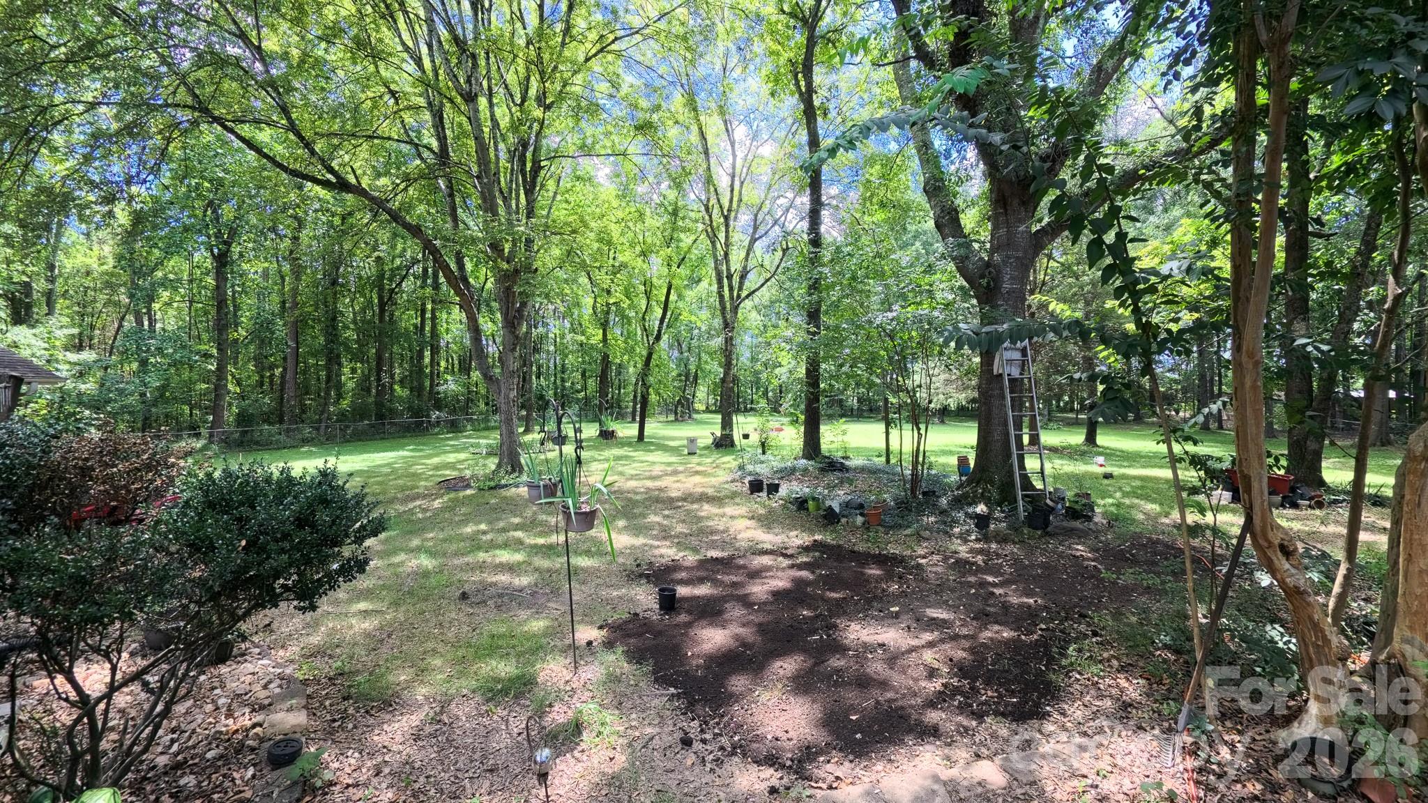 3550 Tree Line Drive Property Photo 28