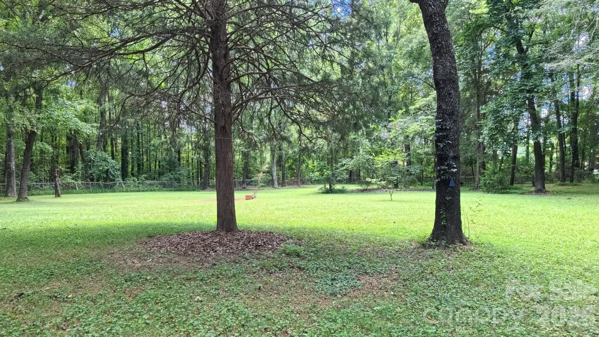 3550 Tree Line Drive Property Photo 36