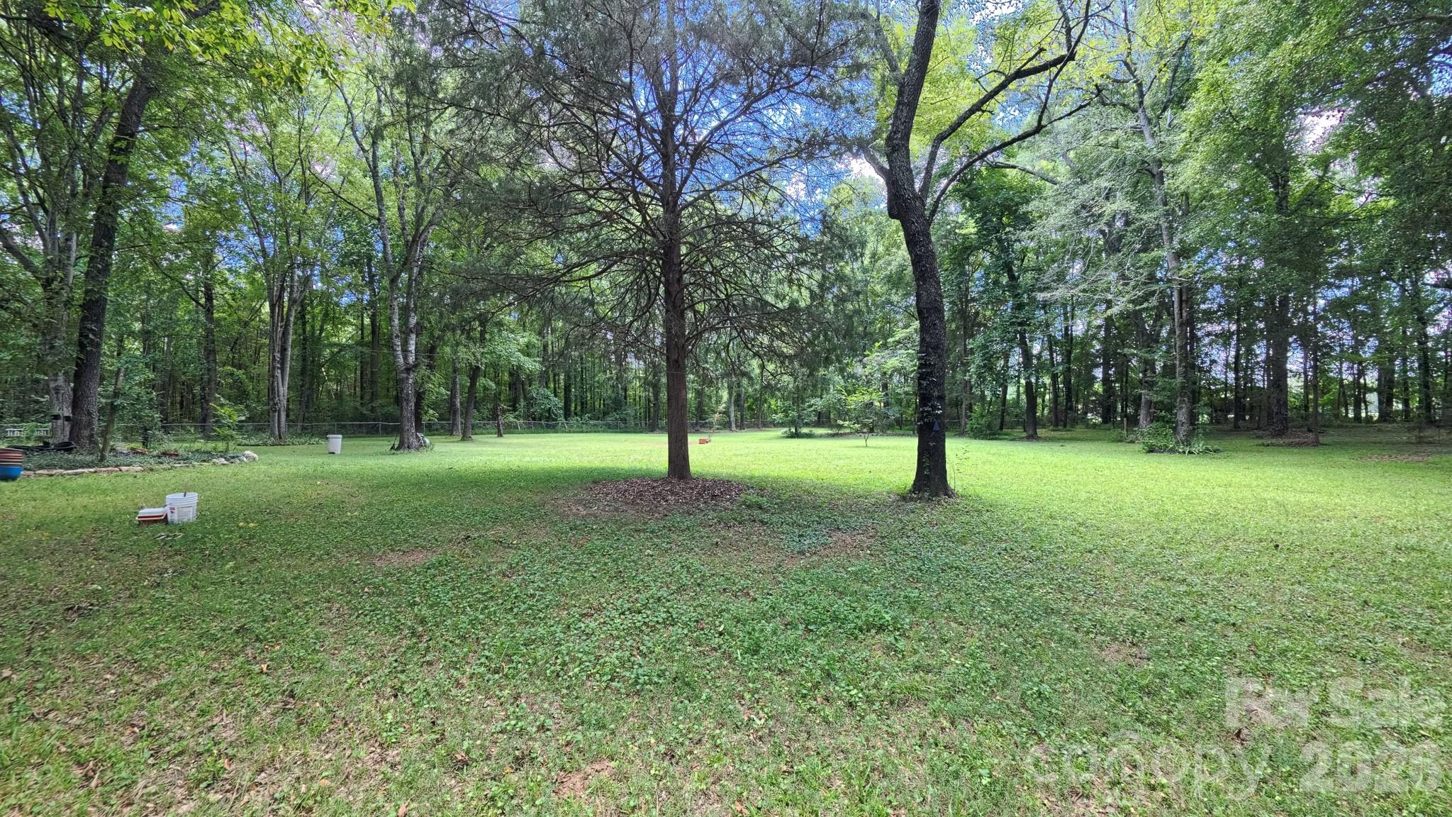 3550 Tree Line Drive Property Photo 37
