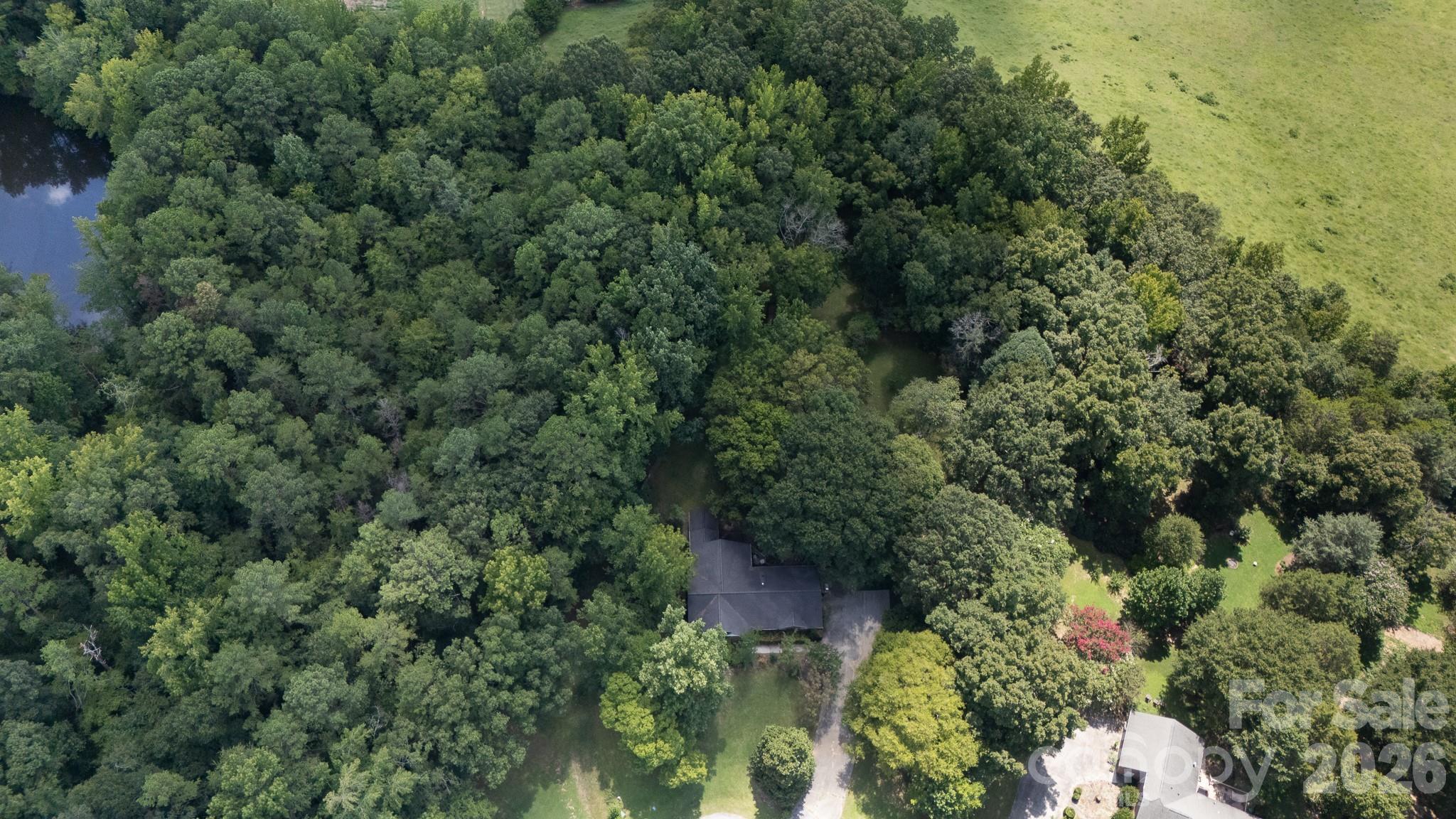 3550 Tree Line Drive Property Photo 38