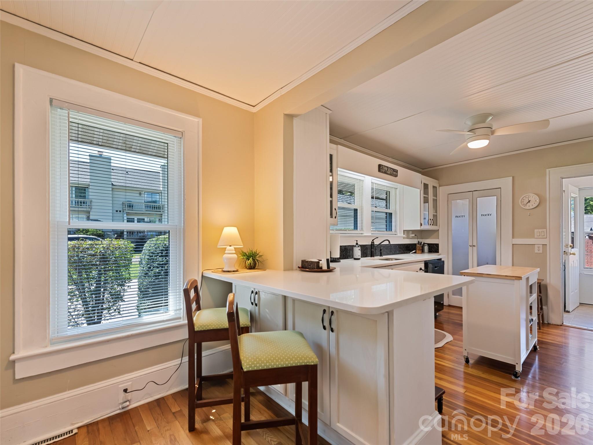 50 Epsom Street Property Photo 16
