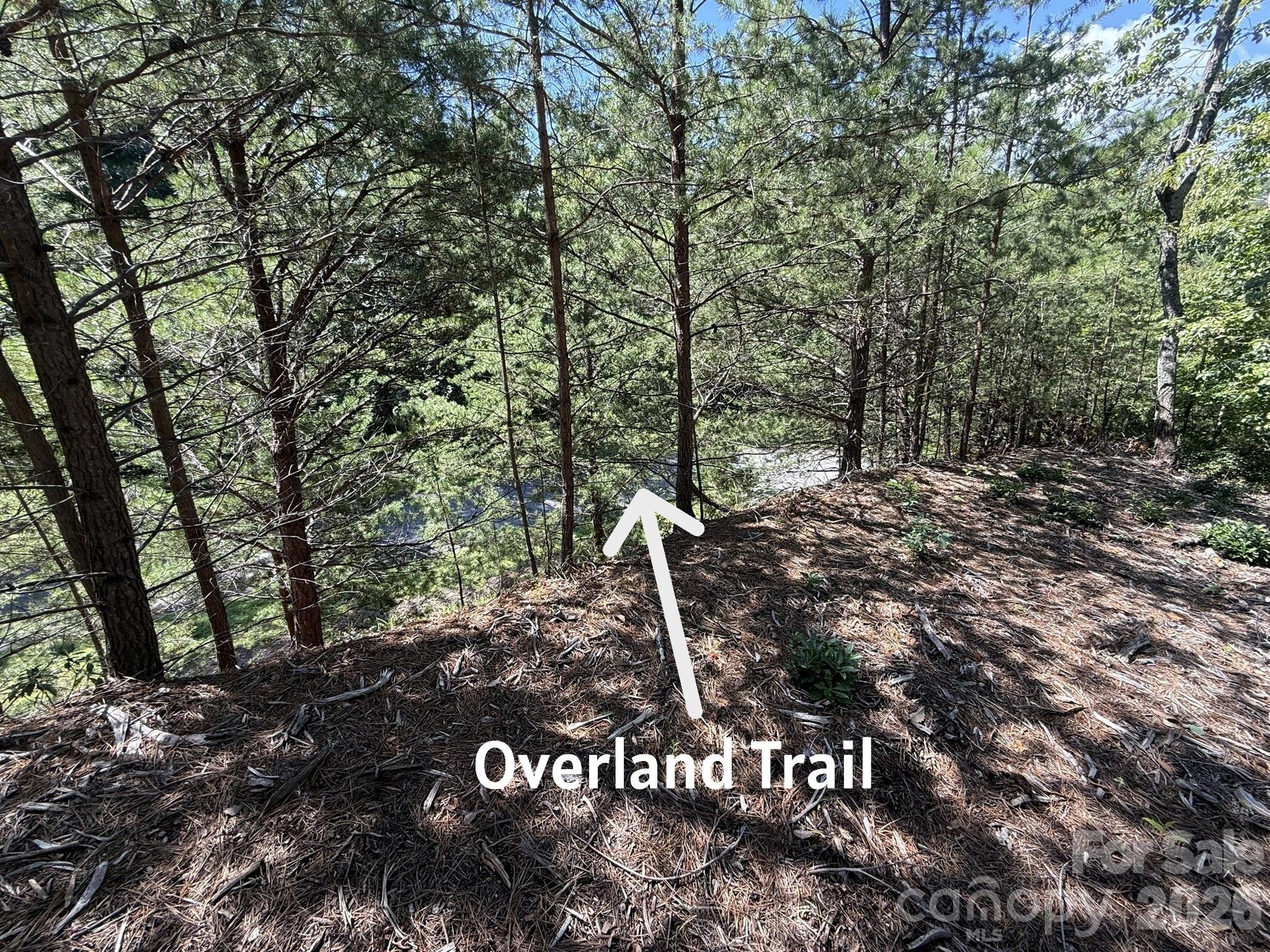 V/l Overland Trail 168 Property Photo 15