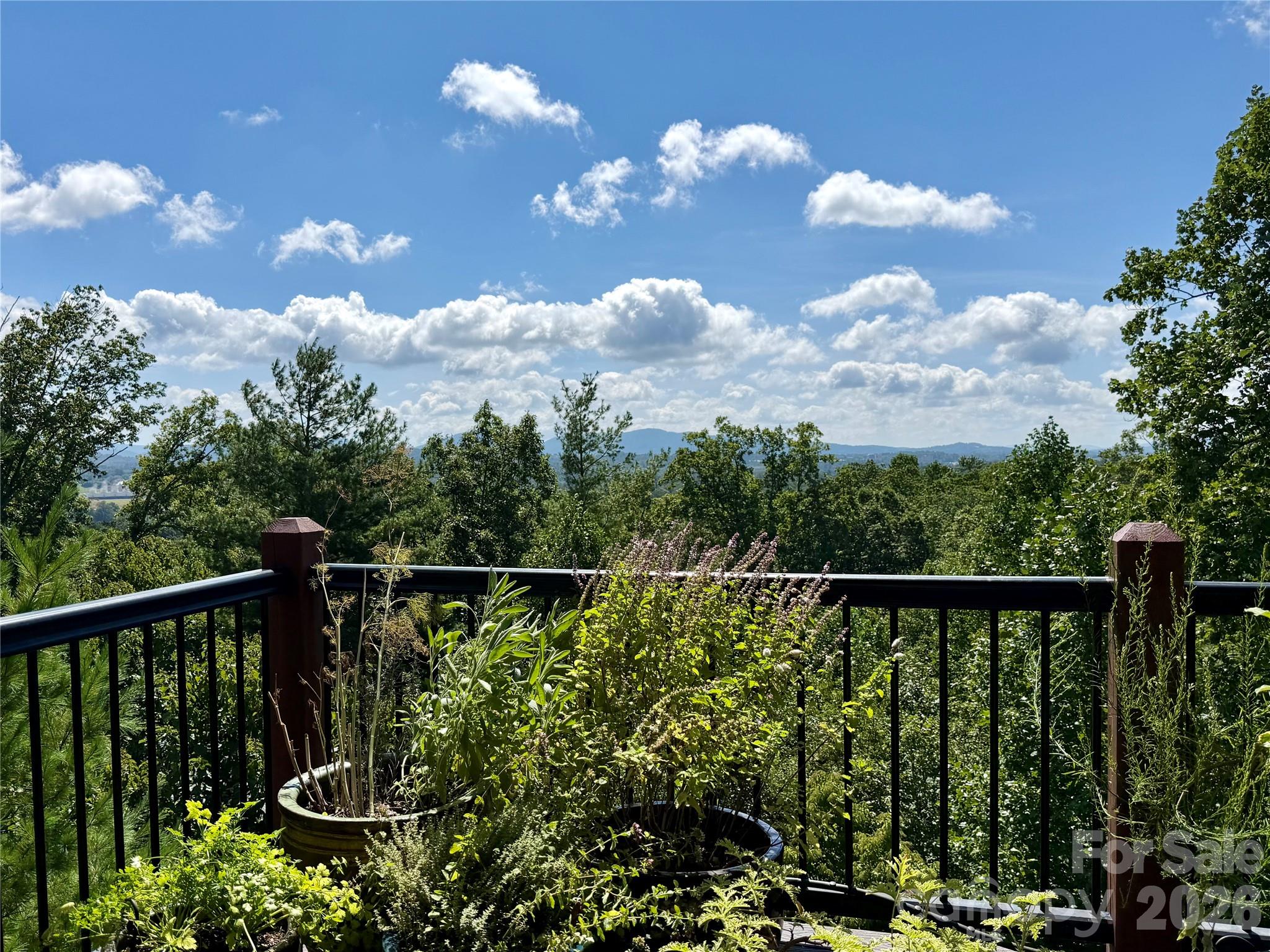 16 Britton Knoll Pass Property Photo 6
