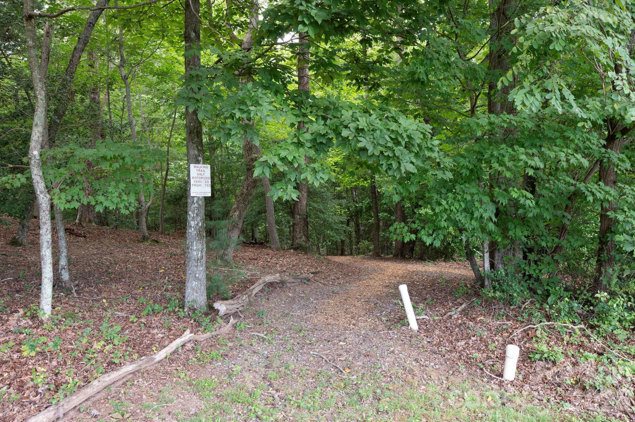 16 Britton Knoll Pass Property Photo 46