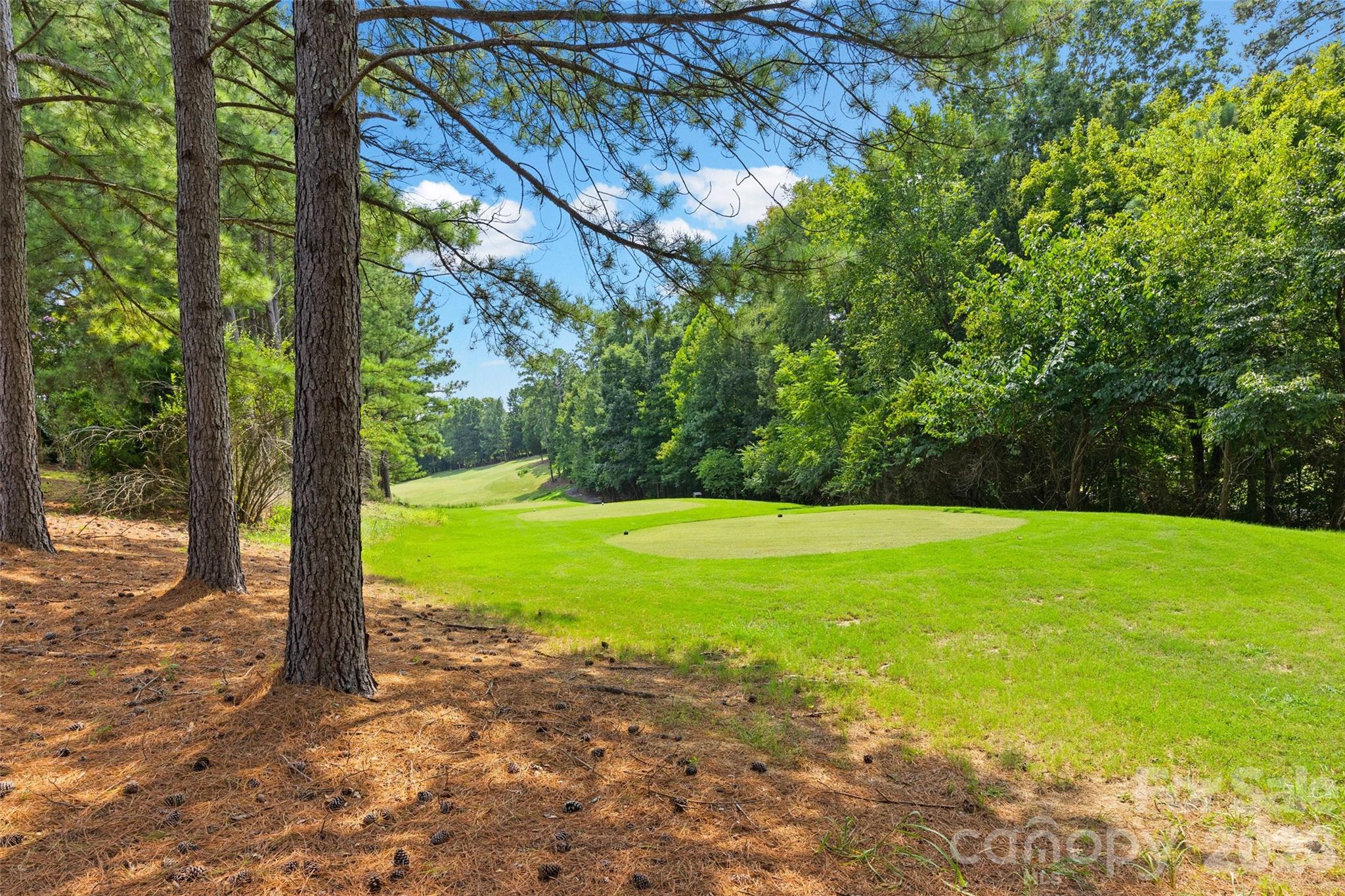771 Cherry Hills Place Property Photo 38