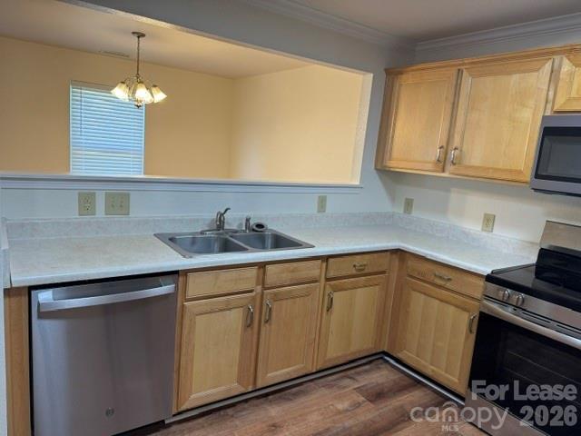 8428 Panglemont Drive Property Photo 3