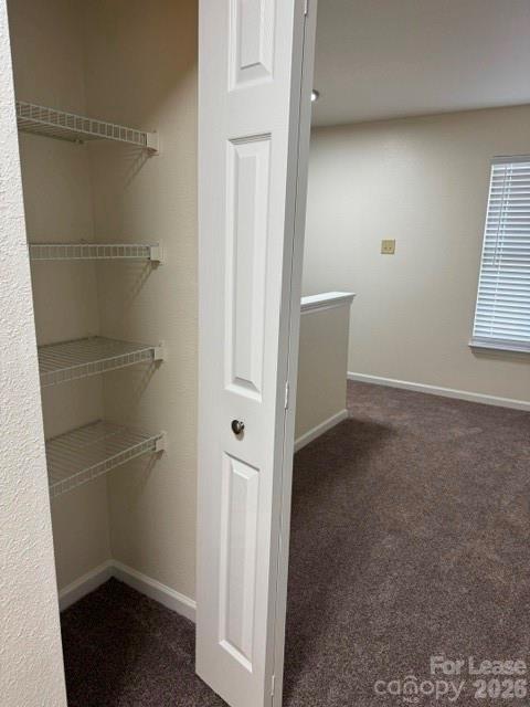 8428 Panglemont Drive Property Photo 15