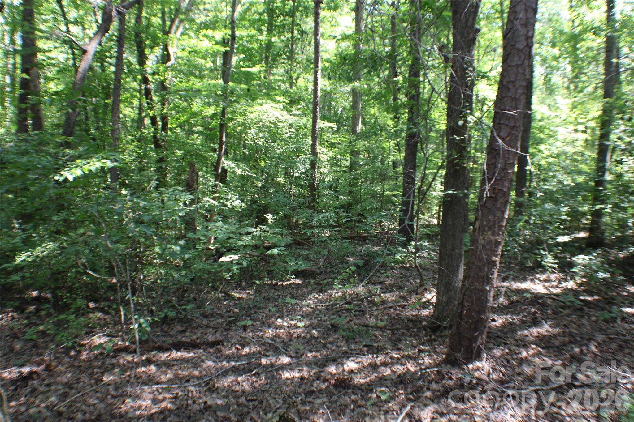 6804 Glover Lane Property Photo 12