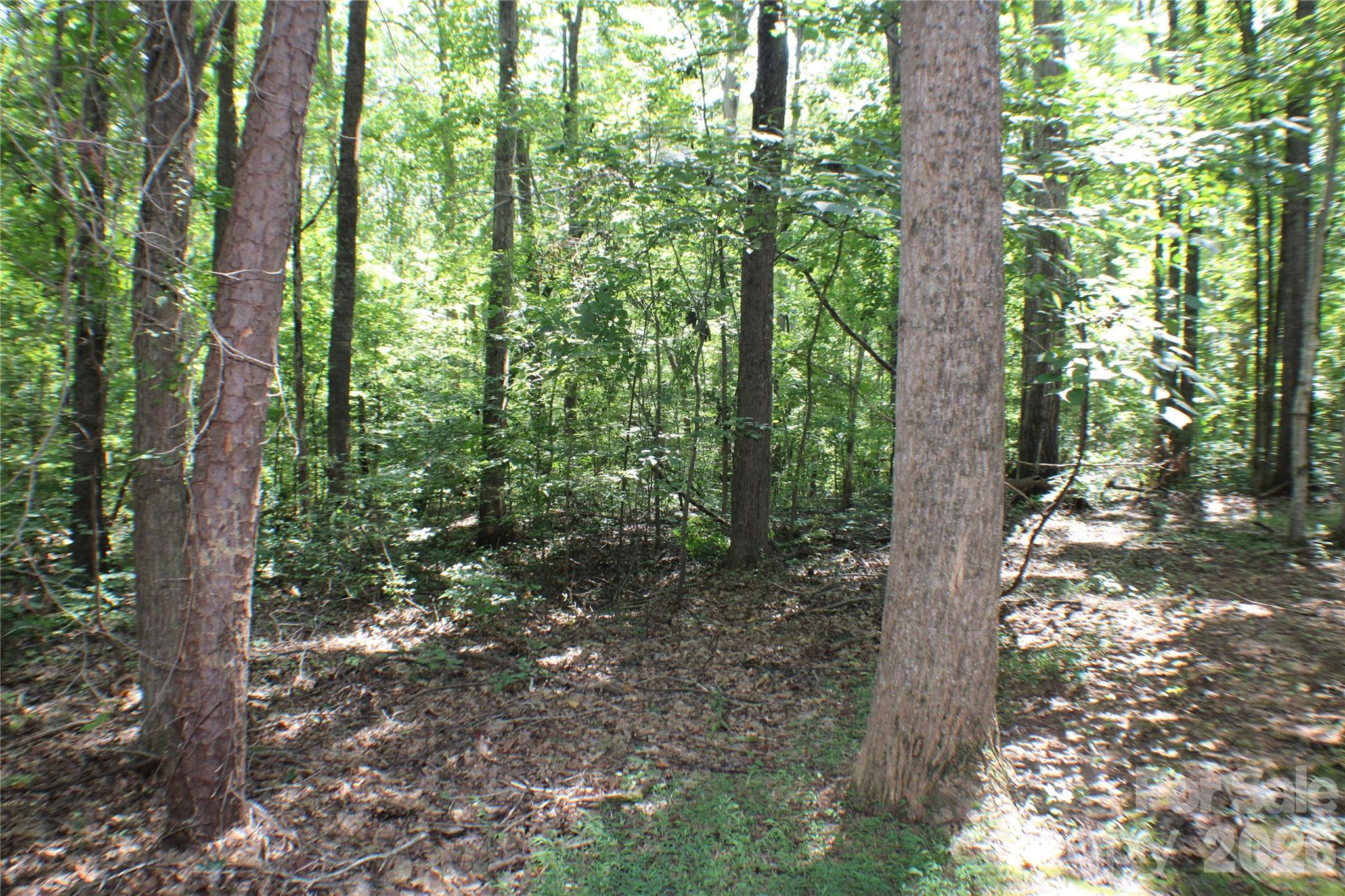 6804 Glover Lane Property Photo 13